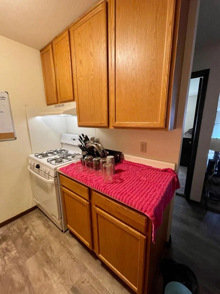 undefined apartments for rent - image - large (4).jpeg