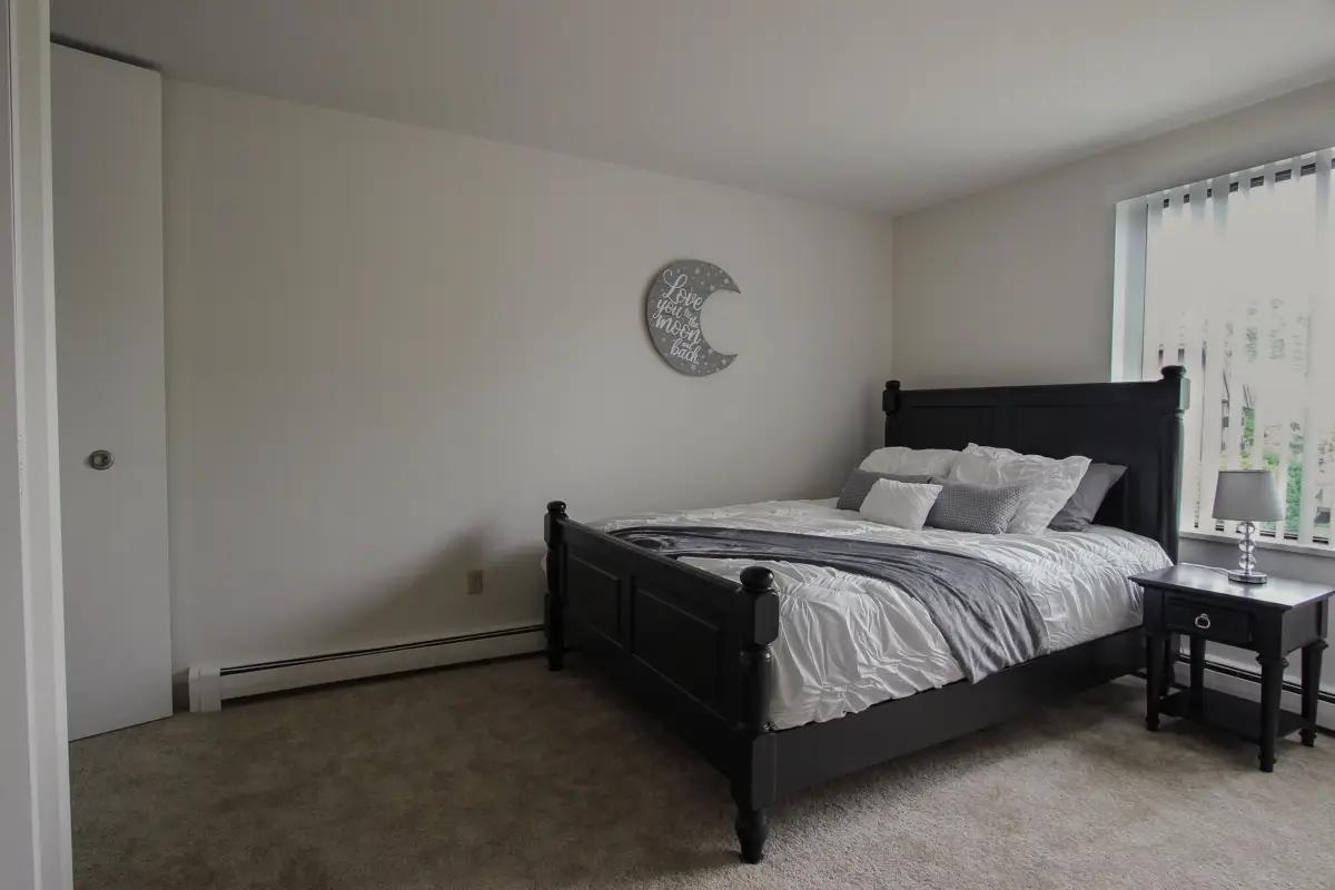 undefined apartments for rent - image - IMG_5884.webp2