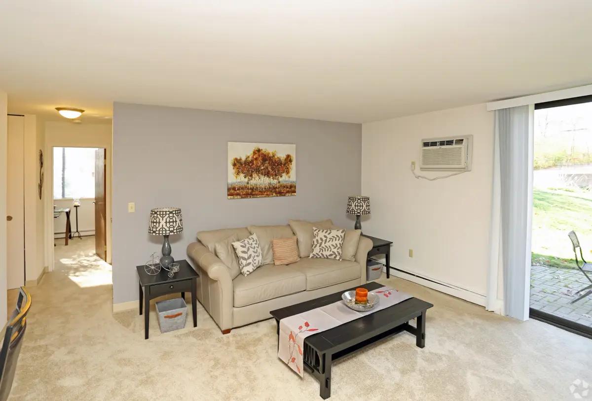 undefined apartments for rent - image - living-room1.webp0